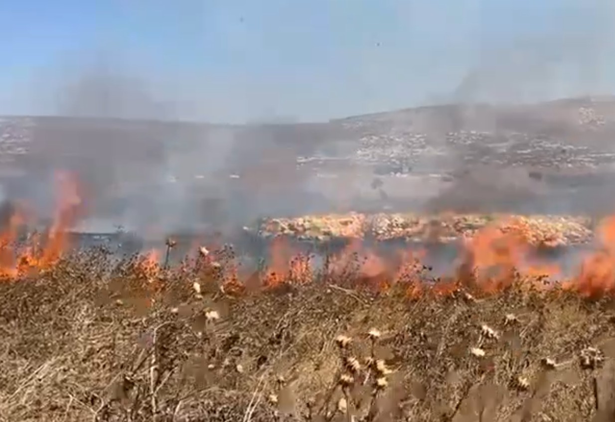 Media for Thursday, July 23, 2026 – The West Bank