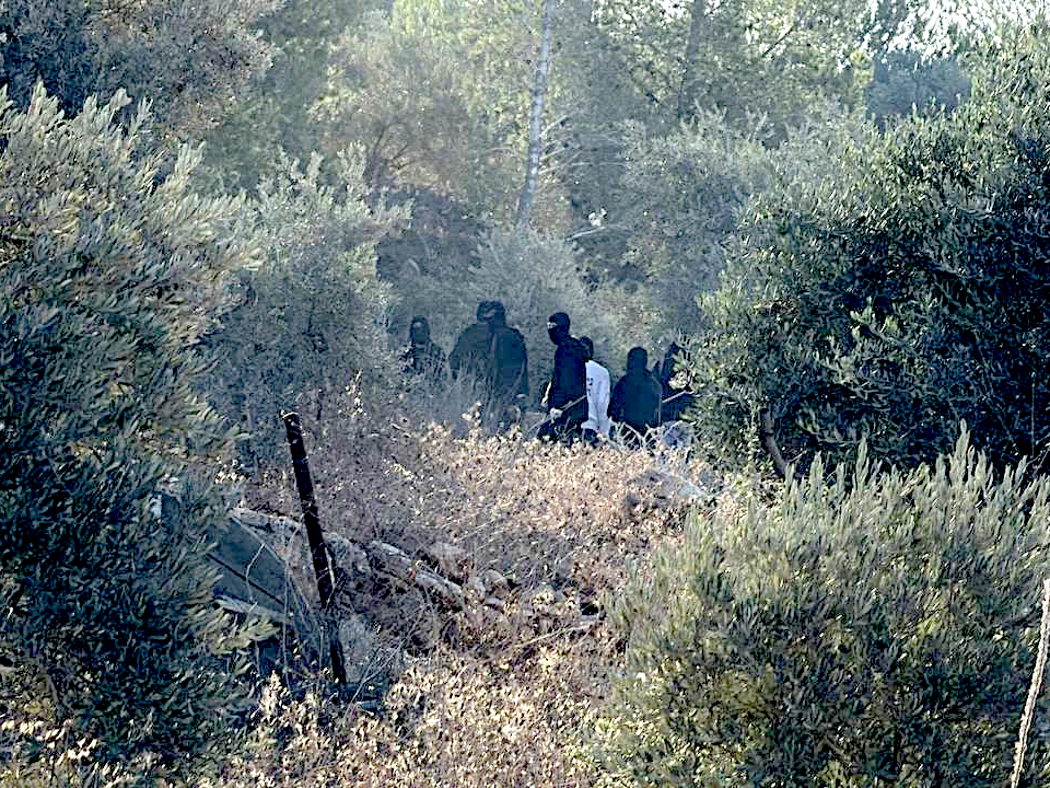 Beita, Saturday, October 3, 2026 – the West Bank