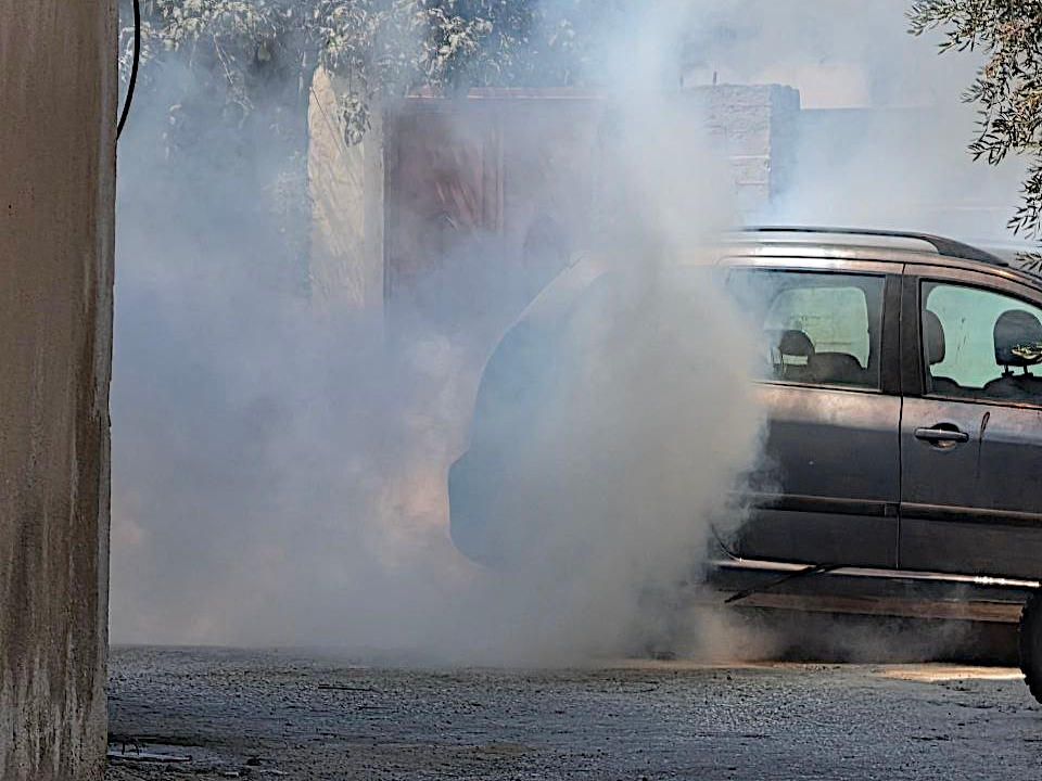 Beita, Friday, September 11, 2026 – the West Bank