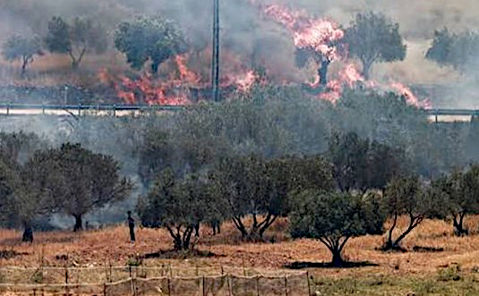 Abu Dis, Sunday, October 4, 2026 – the West Bank