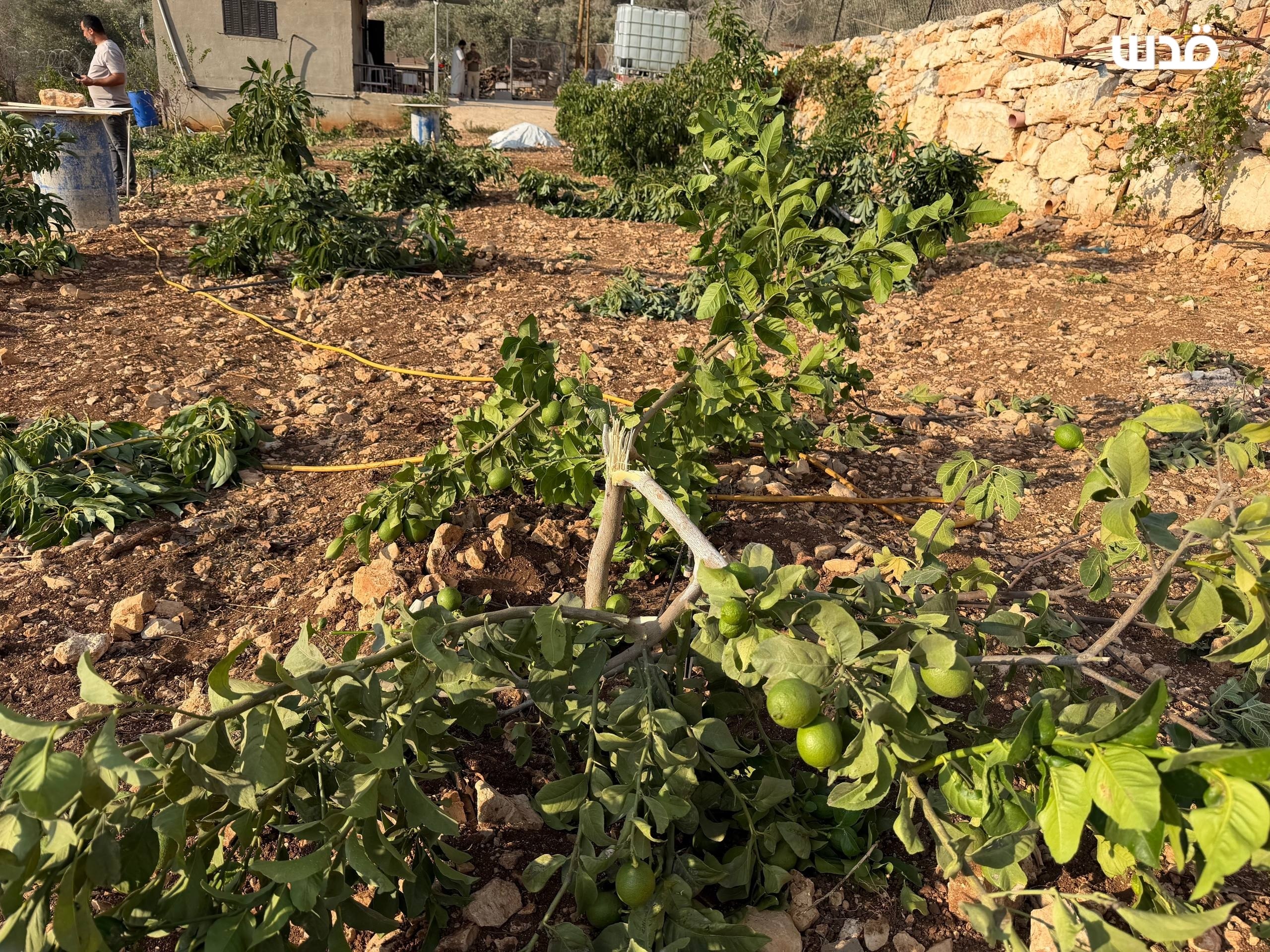 Beit Lid, Thursday, September 24, 2026 – the West Bank
