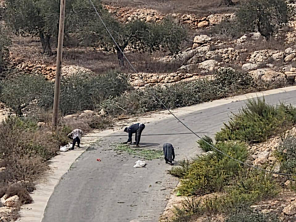 Beit Furik, Wednesday, October 14, 2026 – the West Bank