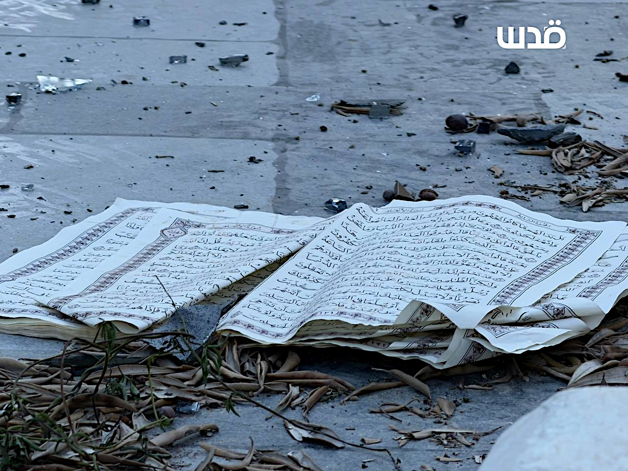 Beita Wednesday, August 12, 2026 – The West Bank