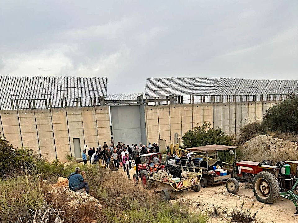Deir al-Ghusun, Wednesday, October 14, 2026 – the West Bank