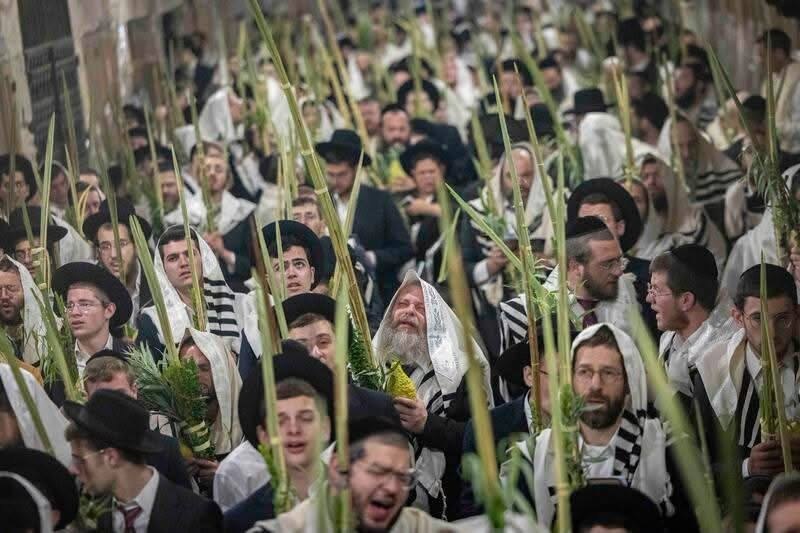 Jerusalem, the Cotton Market, Sunday, September 27, 2026 – the West Bank