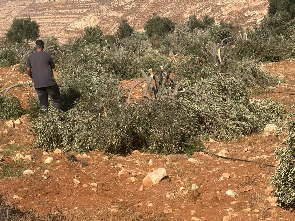 Kisan, Sunday, October 18, 2026 – the West Bank