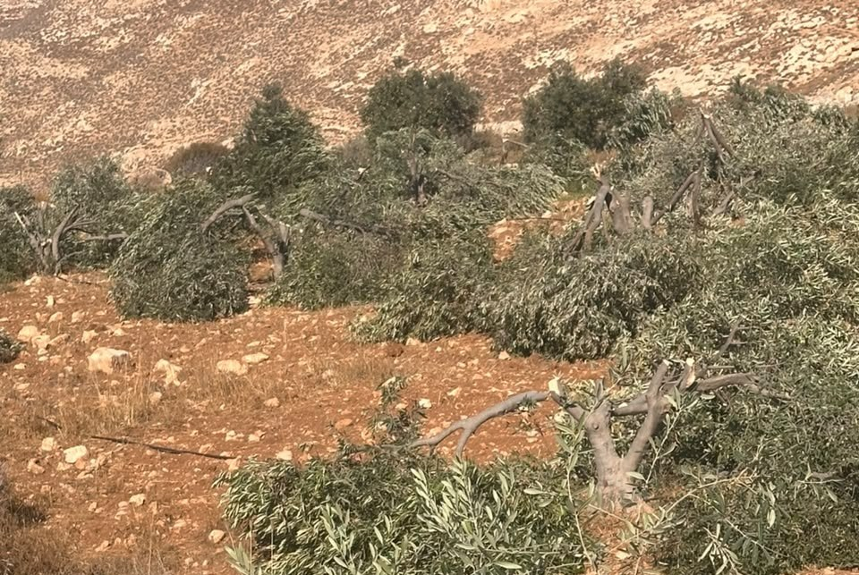 Kisan, Sunday, October 18, 2026 – the West Bank