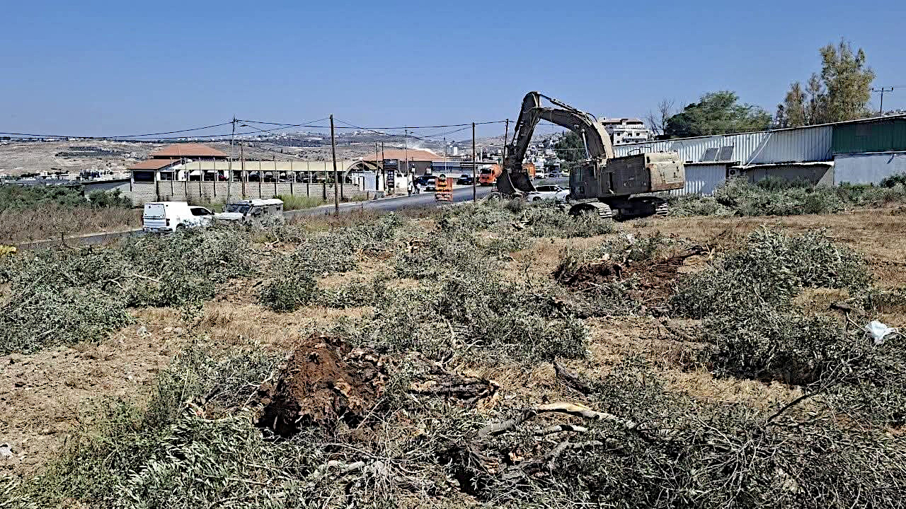Ajjah Wednesday, August 5, 2026 – The West Bank