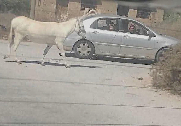 Awarta, Wednesday, September 9, 2026 – the West Bank