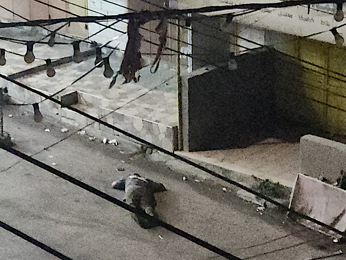 Qabatiya, Friday, September 25, 2026 – the West Bank