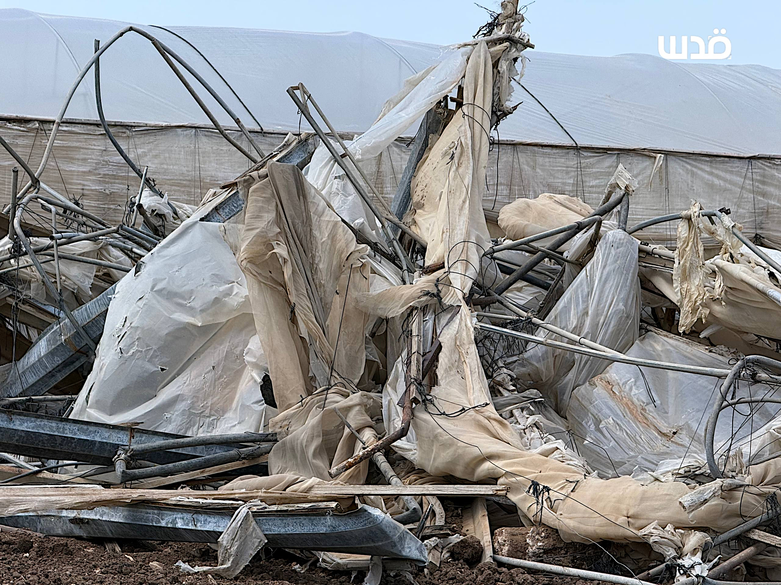 Deir al-Ghusun, Tuesday, September 1, 2026 – the West Bank