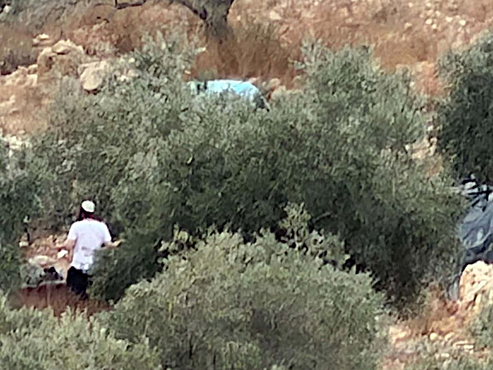 Wadi Qana, Tuesday, October 6, 2026 – the West Bank