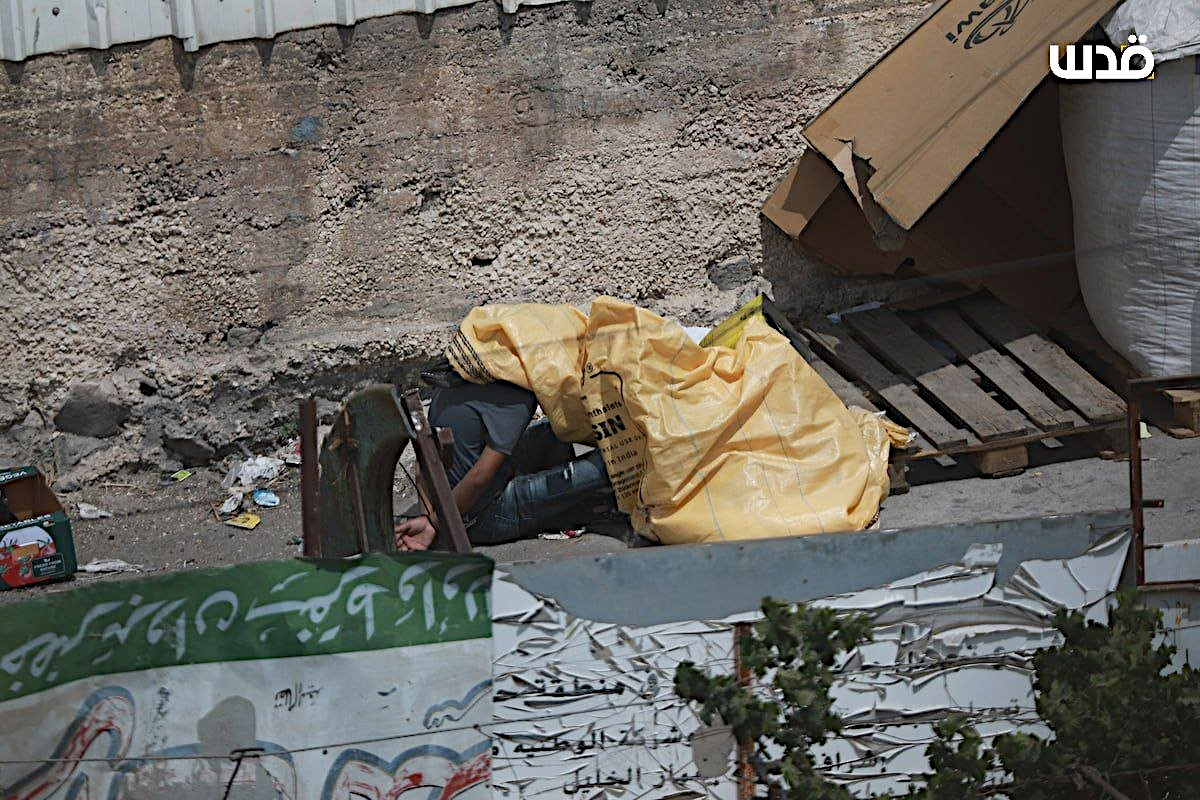 Hebron, Monday, August 31, 2026 – the West Bank