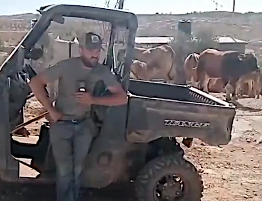 Khallet al-Hummus, Thursday, September 17, 2026 – the West Bank
