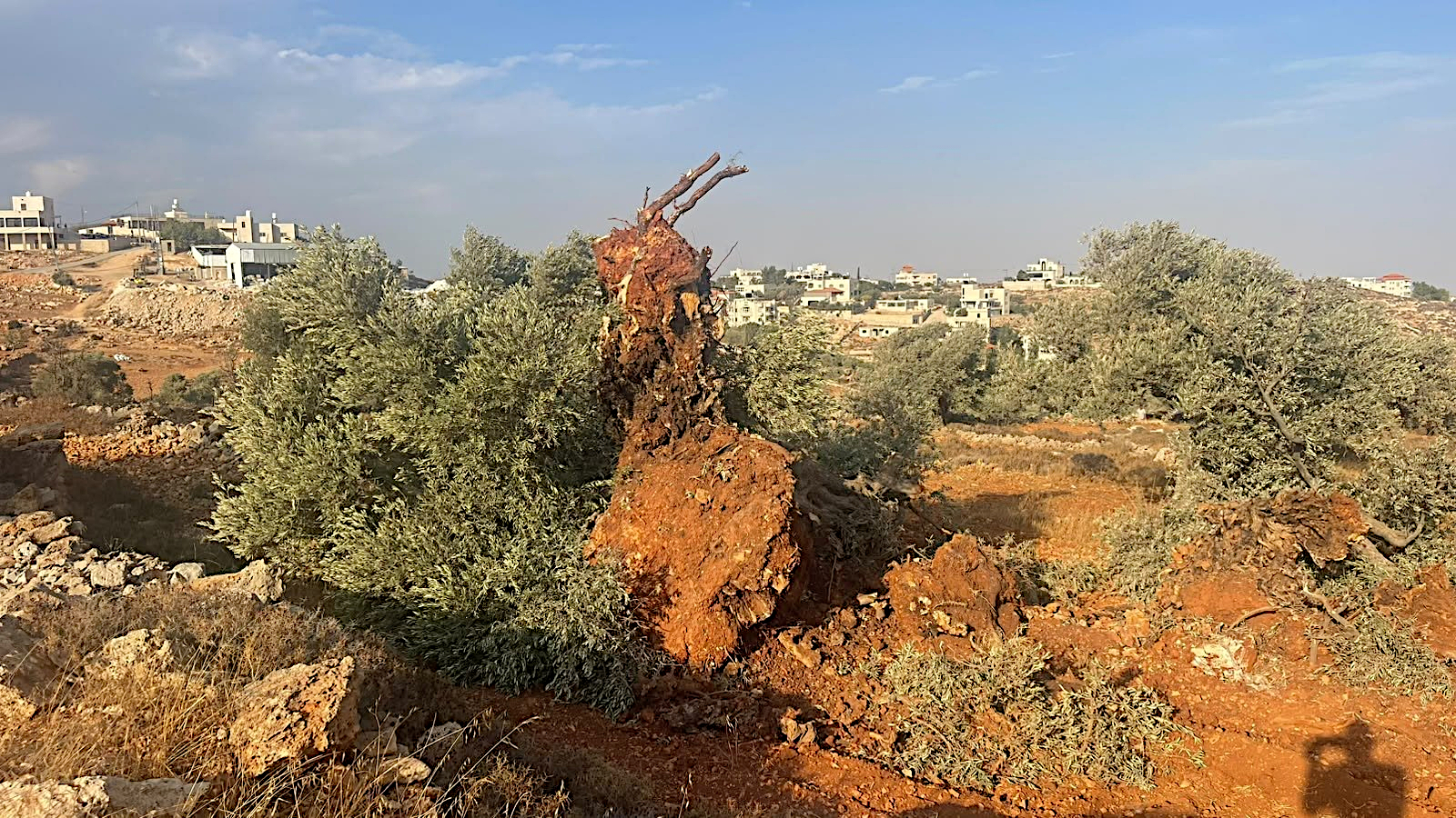 Kafr Malik, Thursday, October 15, 2026 – the West Bank