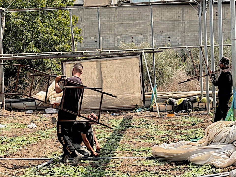 Tulkarm, Tuesday, September 22, 2026 – the West Bank