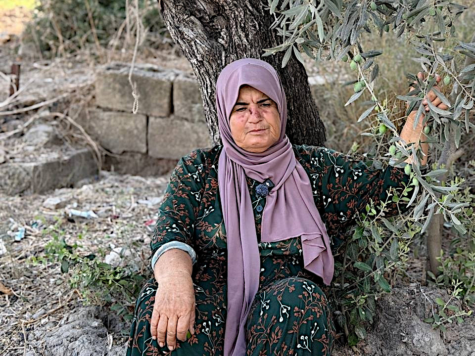 Arraba, Thursday, September 3, 2026 – the West Bank