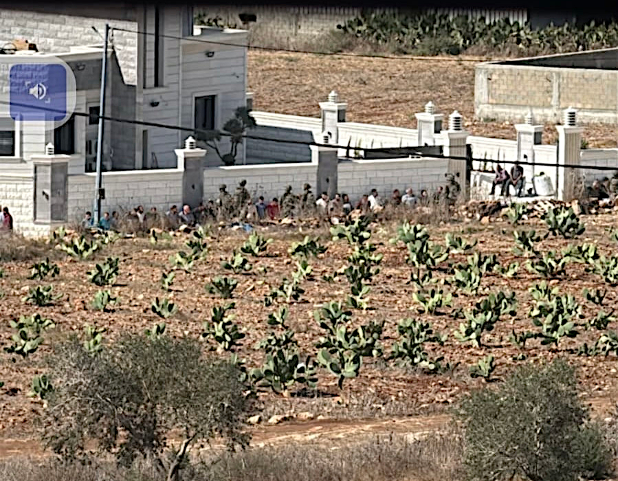 Faqqua, Saturday, September 12, 2026 – The West Bank