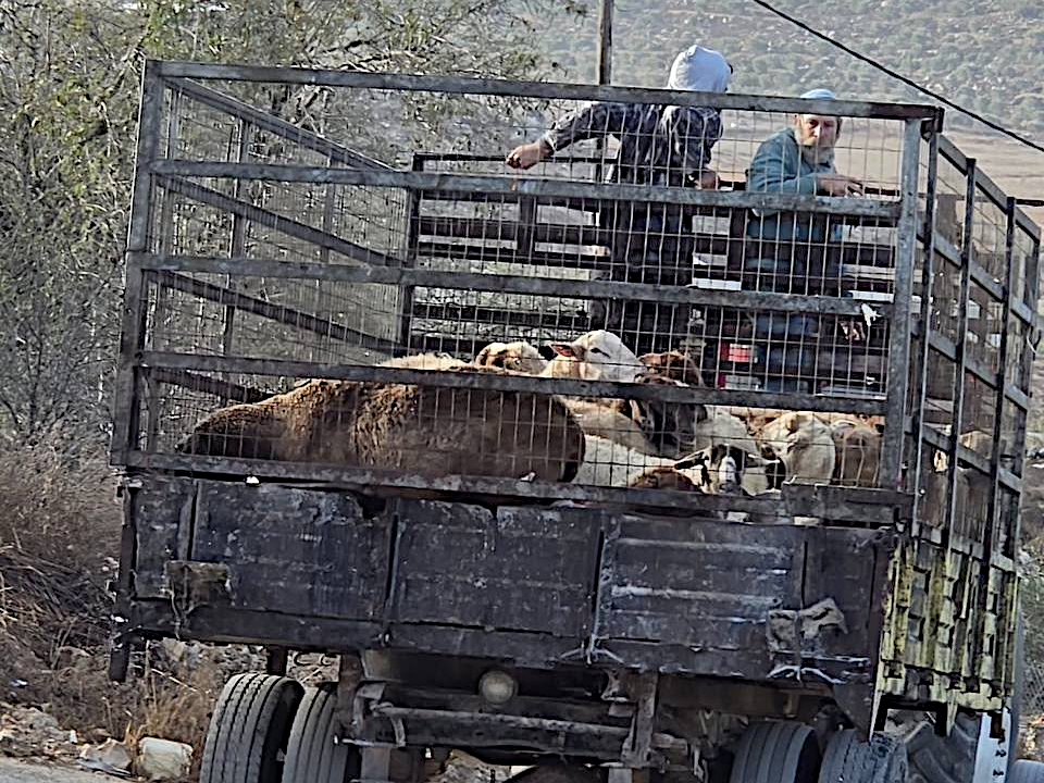 Talfit, Monday, October 19, 2026 – the West Bank