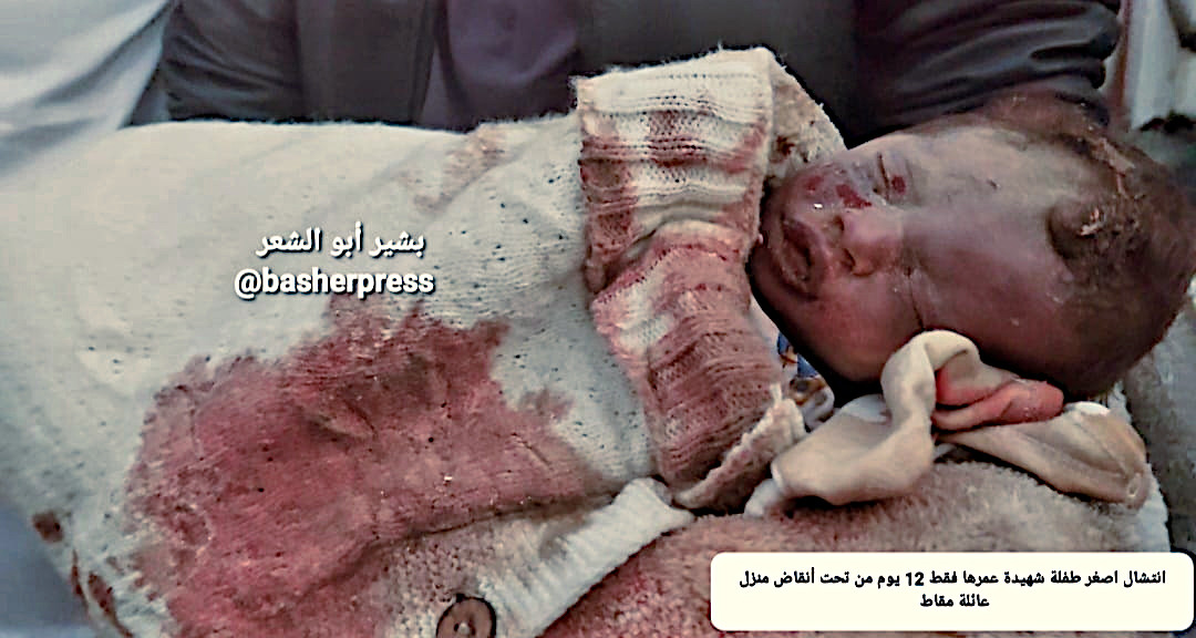 Saturday, October 26, 2024 – The Gaza Strip cover image