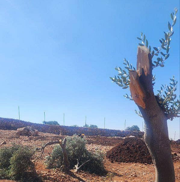 Tuesday, July 2, 2024 – The West Bank cover image