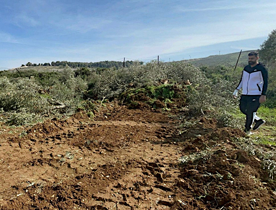 Friday, March 6, 2026 – The West Bank inline image