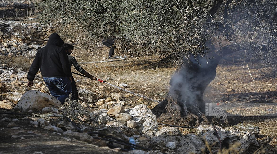Monday, November 4, 2024 – The West Bank inline image