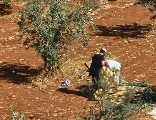 Friday, October 17, 2025 – The West Bank inline image