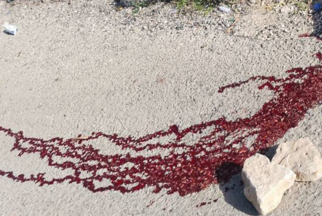 Friday, December 5, 2025 – The West Bank inline image