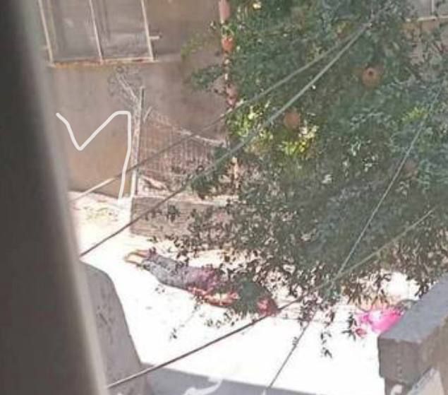 Saturday, August 31, 2024 – The West Bank inline image
