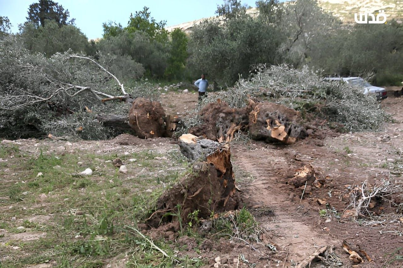 Wednesday, April 29, 2026 – The West Bank inline image
