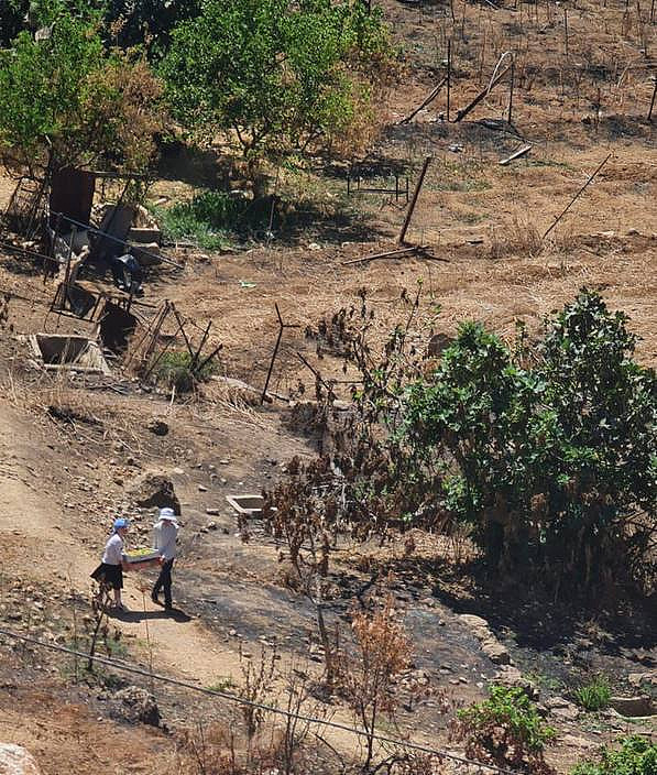 Thursday, August 15, 2024 – The West Bank inline image