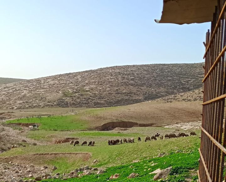 Sunday, February 1, 2026 – The West Bank inline image