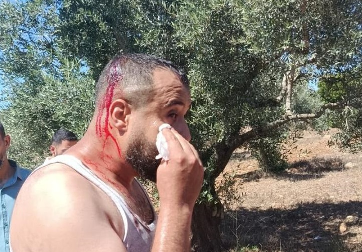 Saturday, June 20, 2026 – The West Bank inline image