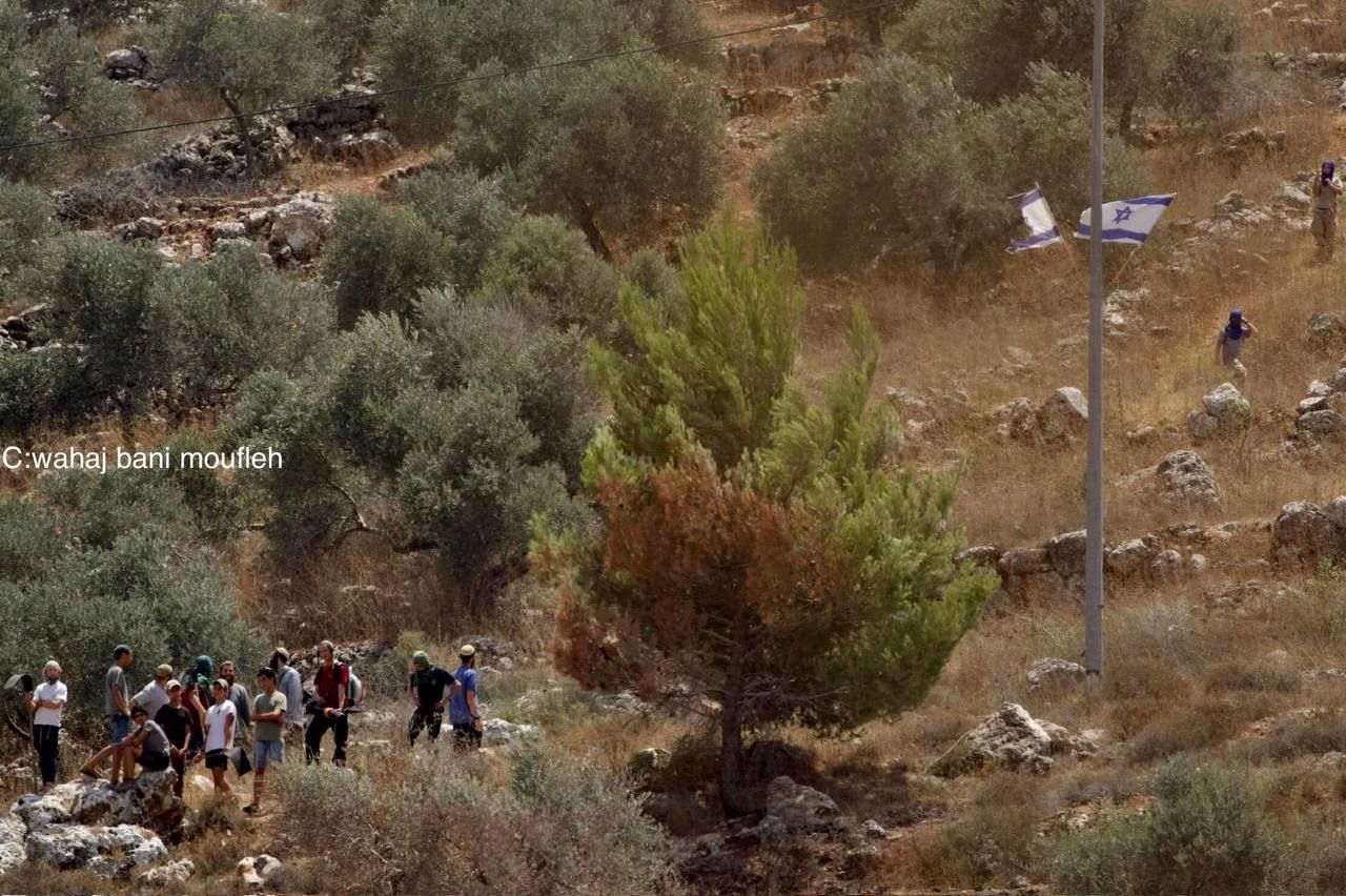 Friday, July 26, 2024 – The West Bank inline image