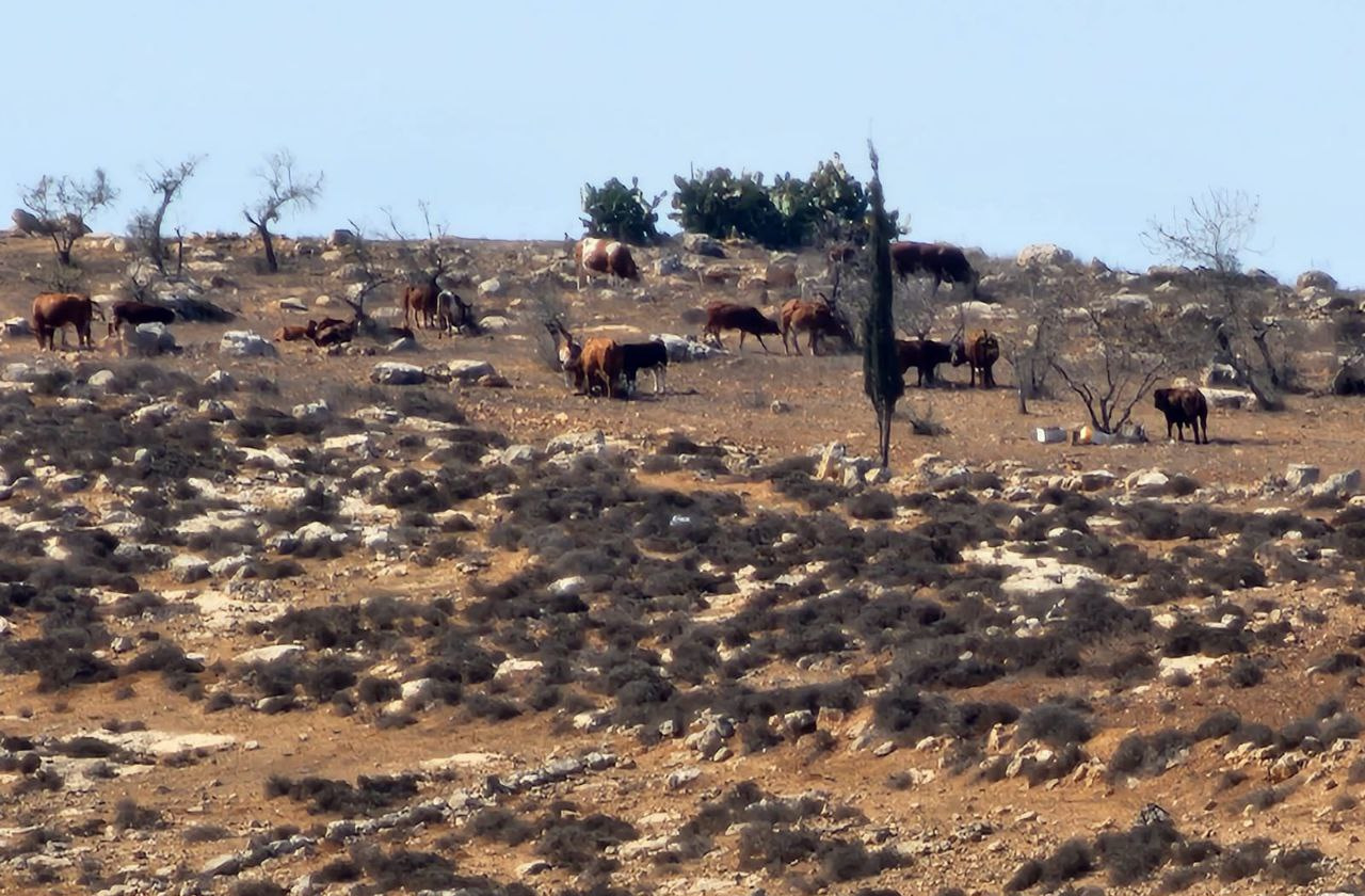Thursday, September 18, 2025 – The West Bank inline image