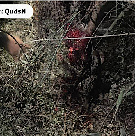 Thursday, October 10, 2024 – The West Bank inline image