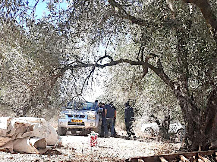 Tuesday, October 22, 2024 – The West Bank inline image
