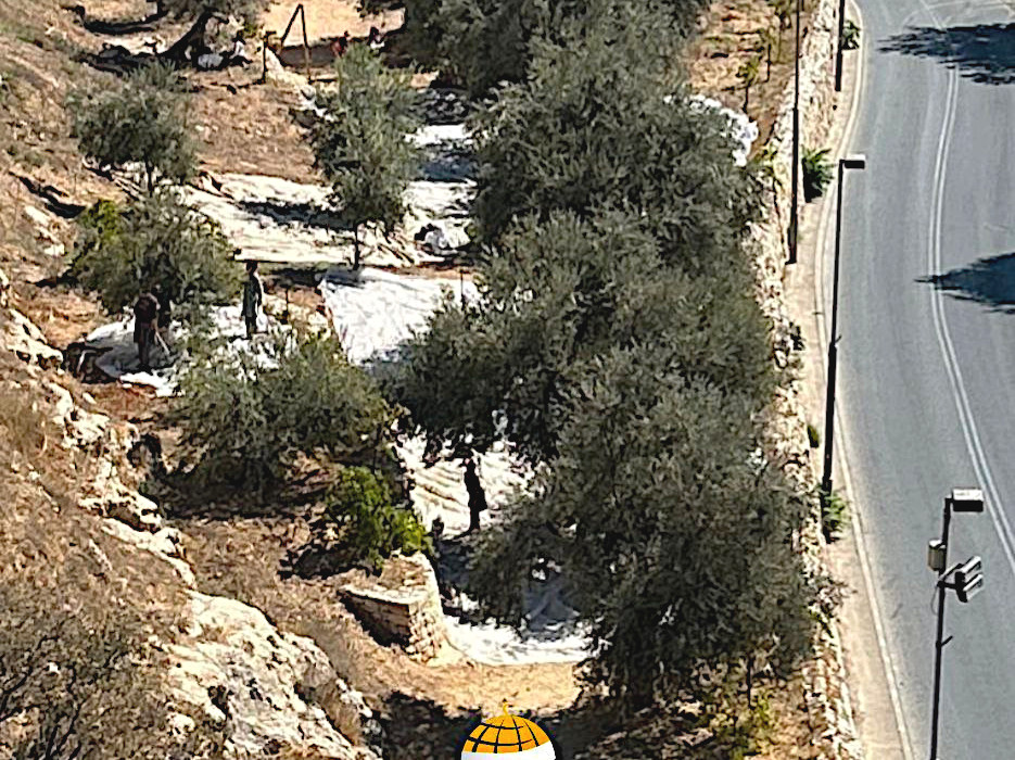 Monday, September 30, 2024 – The West Bank inline image