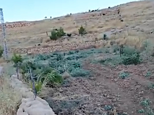 Wednesday, June 24, 2026 – The West Bank inline image