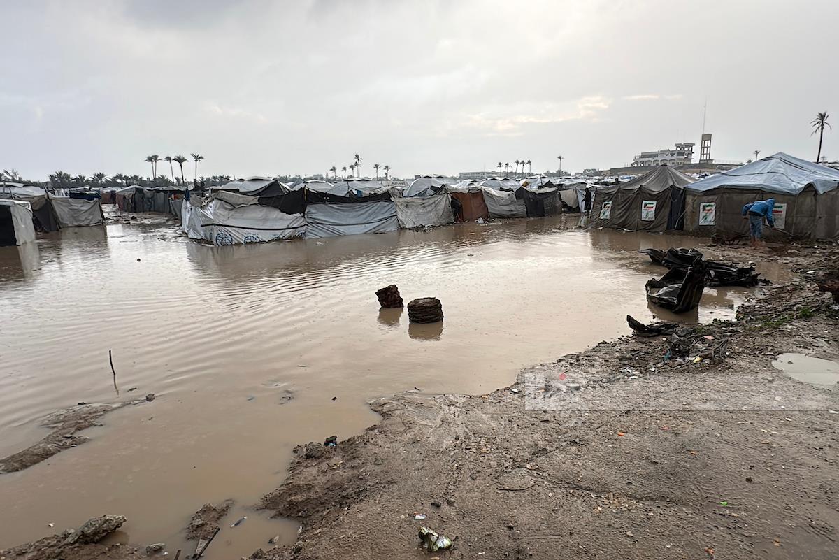 Thursday, December 11, 2025 – The Gaza Strip cover image