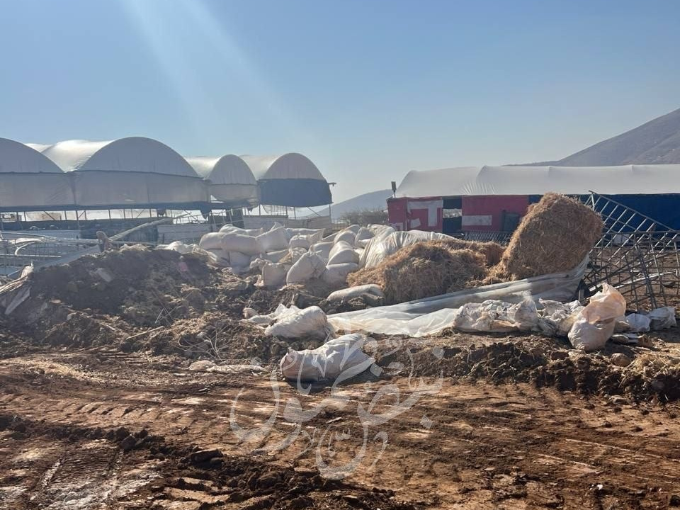 Sunday, November 23, 2025 – The West Bank inline image