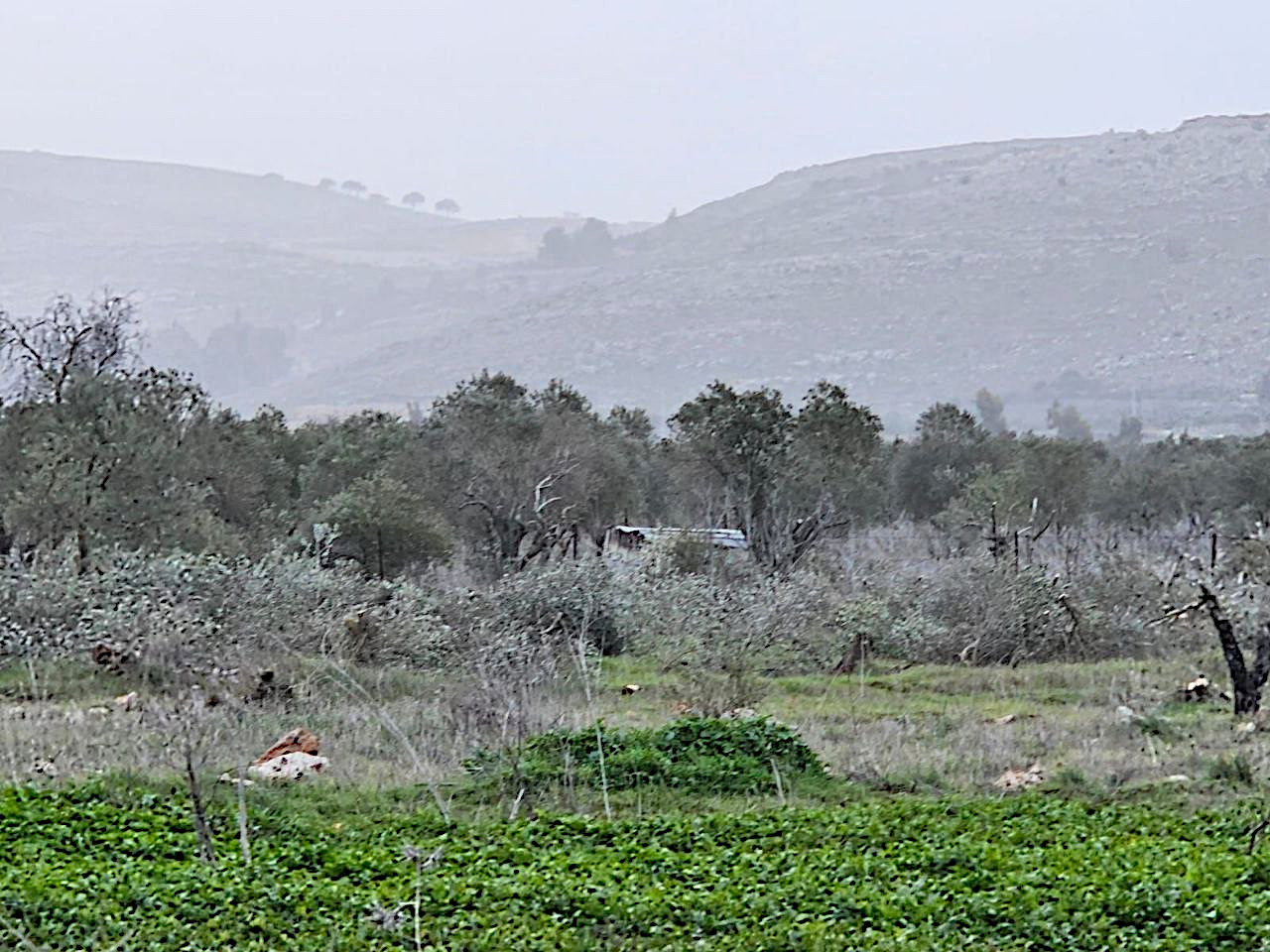 Wednesday, January 28, 2026 – The West Bank inline image