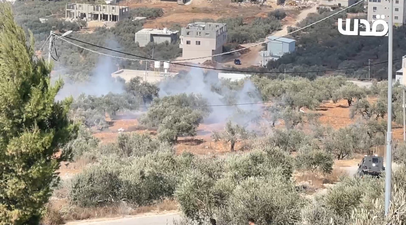 Wednesday, October 15, 2025 – The West Bank inline image