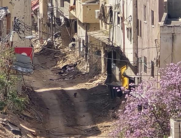 Thursday, April 3, 2025 – The West Bank inline image