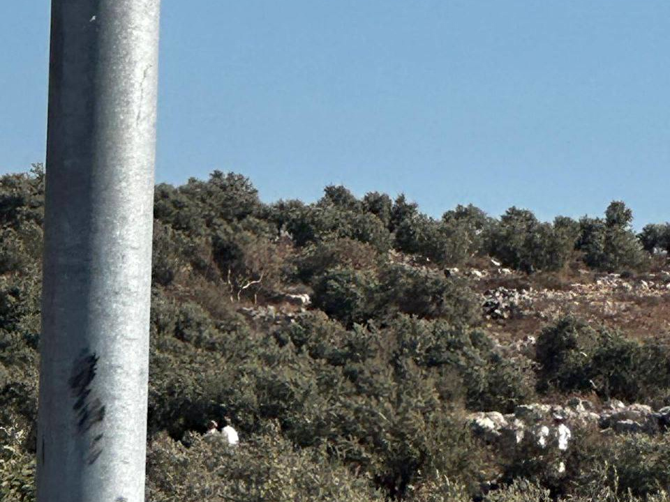 Saturday, August 30, 2025 – The West Bank inline image