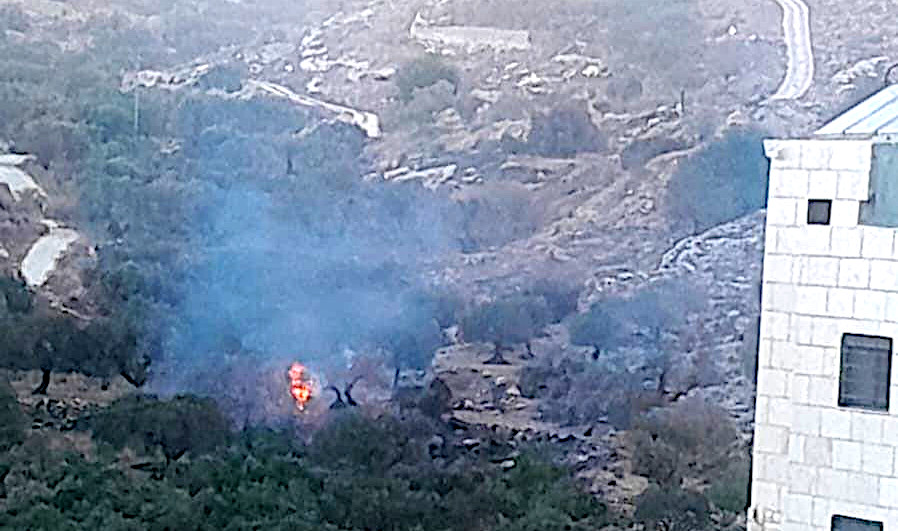 Friday, August 30, 2024 – The West Bank inline image