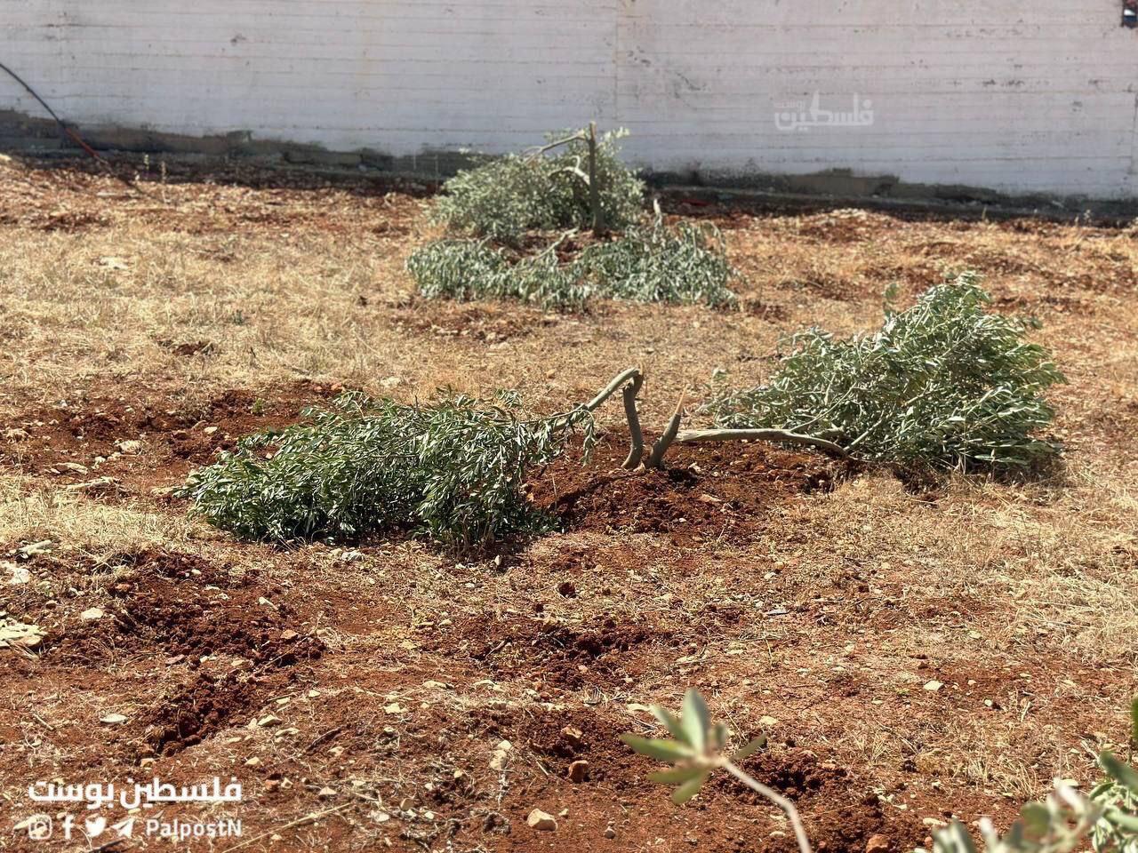 Thursday, June 6, 2024 - The West Bank inline image
