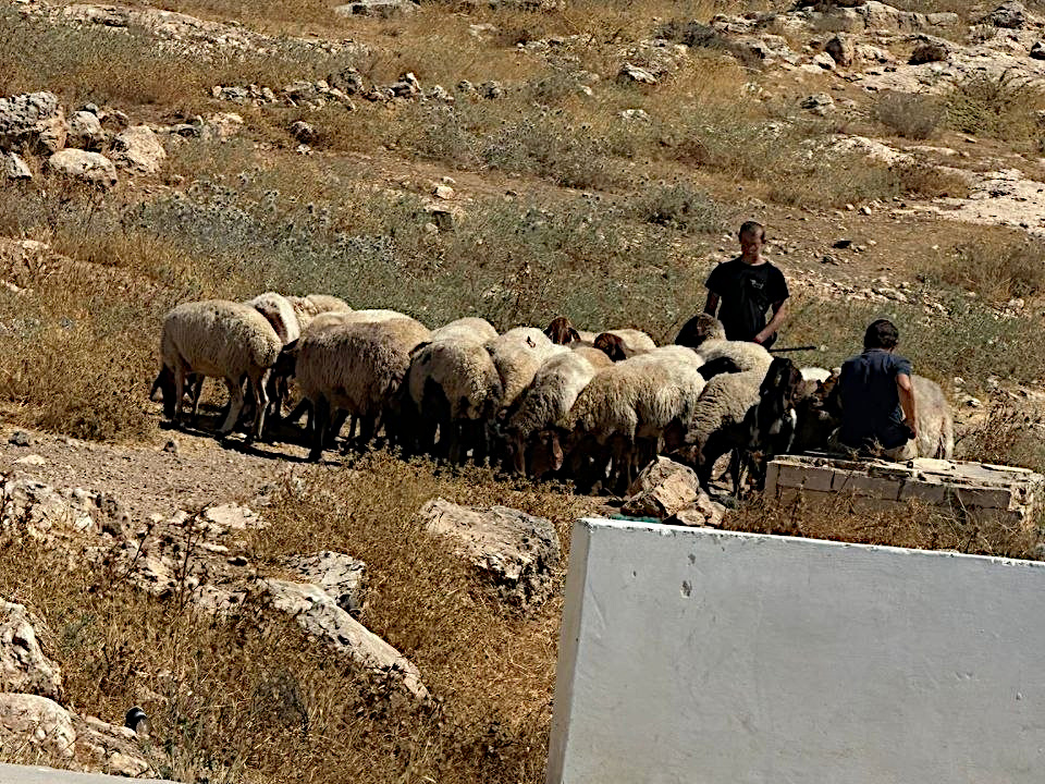Data: January 1, 2026 - June 22, 2026 – The West Bank inline image