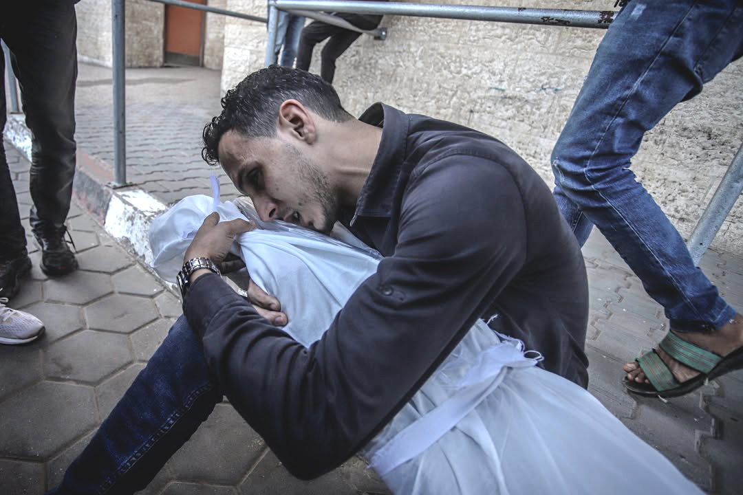 Thursday, November 21, 2024 – The Gaza Strip inline image